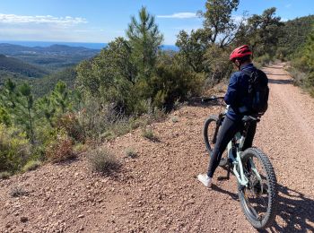 Randonnée V.T.T. Les Adrets-de-l'Estérel - Esterel 1 : Fait en 2022 des Adrets vers le contournement du pic de l'ours - Photo