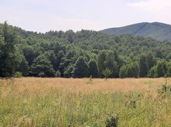 Excursión A pie okres Prešov - Zlatobanský náučný chodník - Photo