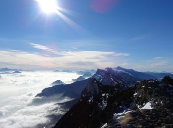 Tour Schneeschuhwandern Lans-en-Vercors - Le Moucherotte - La Sierre - Photo