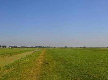 Randonnée A pied Alphen-sur-le-Rhin - Molenviergangroute - Photo