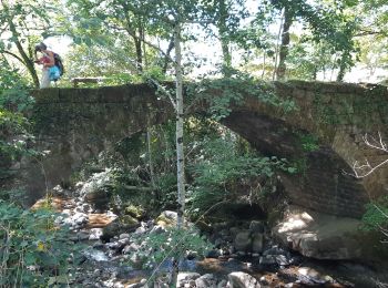 Excursión Senderismo Trélans - Les Prades à Pratnau Rives - Photo