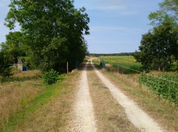 Trail Walking Huismes - Huismes - les Fontaines d'Ozon GR3 - 15.9km 170m 3h35 - 2022 07 17 - Photo