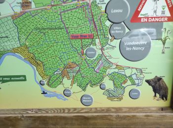 Tocht Stappen Nancy - Nancy - Gondreville - Nancy - Photo
