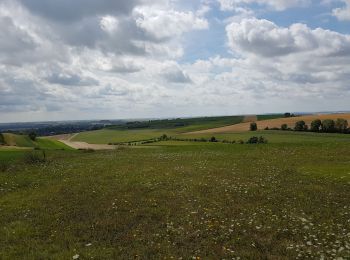 Randonnée Marche Justine-Herbigny - (16/8/2019) Herbigny - les 2 tables d'orientation  - Photo