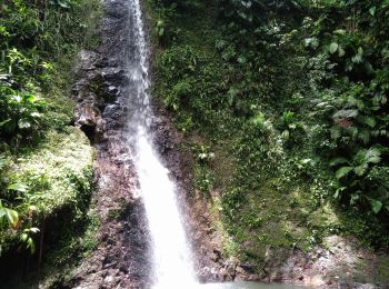 Randonnée Marche Lamentin - Cascade Bois Banane - Photo