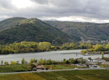 Randonnée Marche Gervans - Gervans les Méjans - Photo