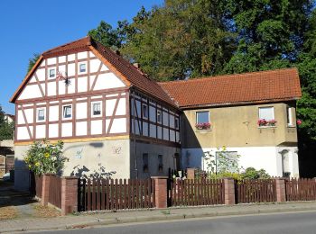 Excursión A pie Löbau - OL-Gelber Strich - Ebersbach-Kittlitz - Photo