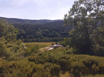 Percorso Corsa a piedi Le Lac-d'Issarlès - lac d'issarles et plus - Photo