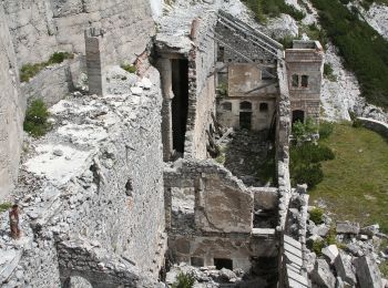 Trail On foot Vigo di Cadore - Itinerario storico del Monte Tudaio - Photo