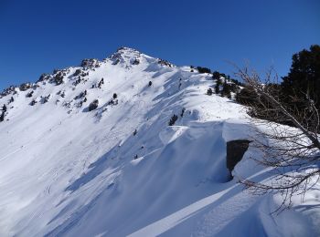 Tocht Te voet Isérables - Balavaux - fixme - Photo