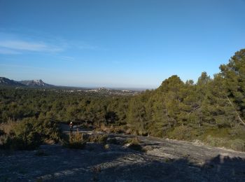 Randonnée Marche Eygalières - mardi 10/12 - Photo