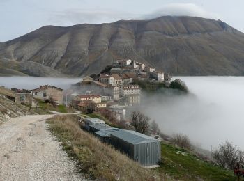 Randonnée A pied Norcia - Castelluccio di Norcia/Sentiero N°571 (GAS) - Photo