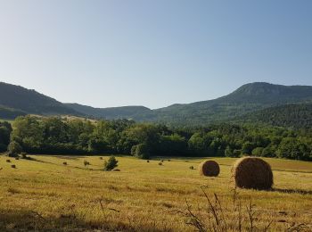 Trail Bicycle tourism Puivert - Puivert - St-Cirac - Photo