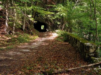 Trail On foot Sauge - Frinvillier-Les Coperies - Photo