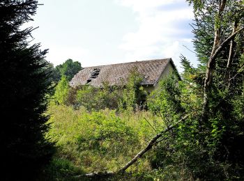 Tour Zu Fuß Schönsee - Bayern-Böhmen-Runde 2 - Photo