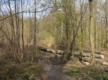 Tour Wandern Clamart - La Bossapas de Meudon - Photo