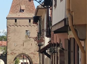 Randonnée Vélo électrique Rosheim - Rosheim Grendelbruch  - Photo