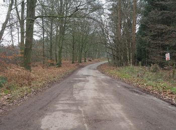 Randonnée A pied Breckland - Great Eastern Pingo Trail - Photo