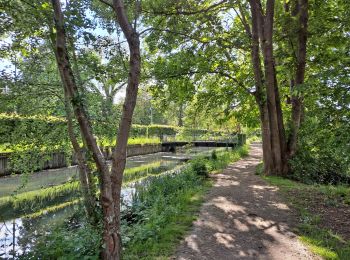 Tocht Stappen Jouy-en-Josas - Jouy en Josas - Photo