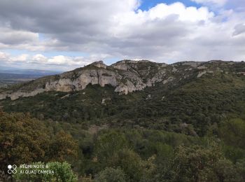 Randonnée Marche Saint-Rémy-de-Provence - Alpilles - Photo