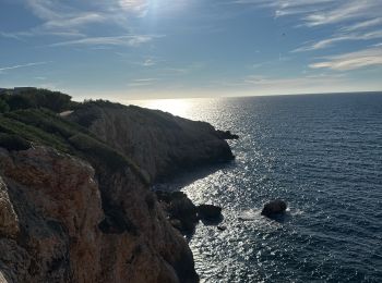 Trail Walking Saint-Cyr-sur-Mer - Port d Alon - Photo