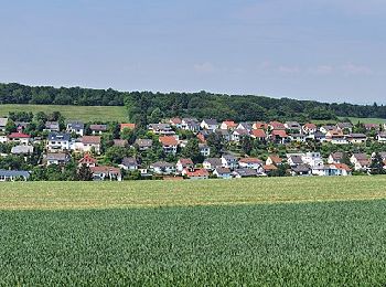 Tour Zu Fuß Idstein - Eschenhahner Runde - Photo