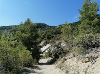 Randonnée Marche Buis-les-Baronnies - Malpertuis - Milmandre - Ubrieux 04.08.2021 - Photo