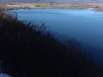 Excursión Senderismo Doucier - Sur les hauteurs du lac de Chalain - Photo