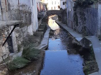 Randonnée Marche Saint-Laurent-le-Minier - L'oiselet par  Bresson - Photo