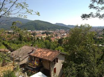 Tour Zu Fuß Bovezzo - Sentiero dei marroni - Photo