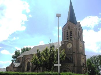 Tocht Te voet Borgloon - Zammelen Oranje bol - Photo