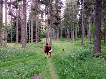 Randonnée Marche Autrans-Méaudre en Vercors - Le Gros Martel par le trou de L'enfer - Photo