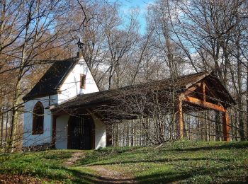 Tocht Te voet Schwäbisch Gmünd - Glaubensweg c - Photo