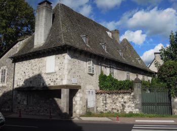 Excursión A pie Arpajon-sur-Cère - Puy de Vaurs - Photo