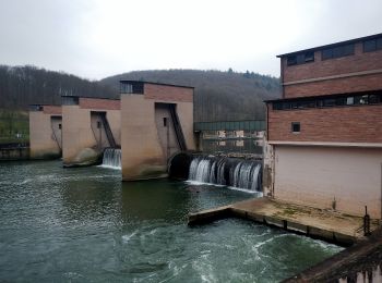 Tocht Te voet Neckargerach - Mittelberg-Weg - Photo