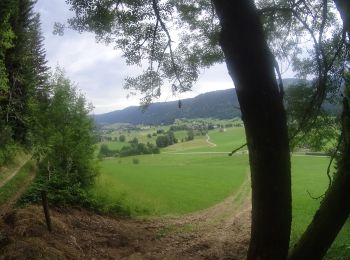 Trail Mountain bike Autrans-Méaudre en Vercors - activity_9138581037 - Photo