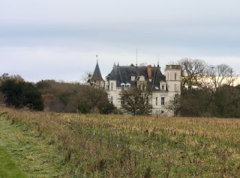 Randonnée Marche Esvres - Esvres-sur-Indre - Veneuil Rouillers Hardellière - 24.5km 245m 5h20 (50mn) - 2024 11 23 - Photo