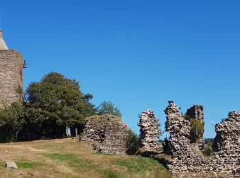 Excursión Senderismo Langogne - E4 Langogne - Luc GR70 - Photo