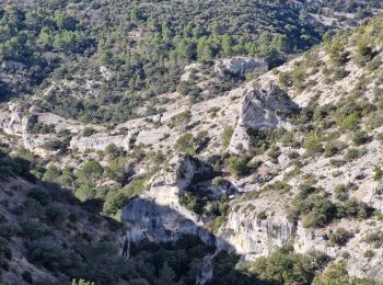 Trail Walking Gordes - 20250126senanque - Photo