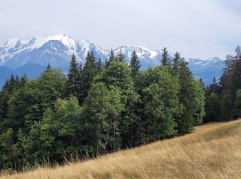 Randonnée Marche Sallanches - 230810 - Photo