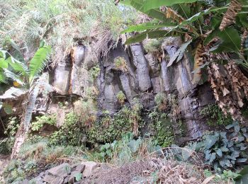 Tour Wandern  - boucle aguada de chã de pedras - Photo