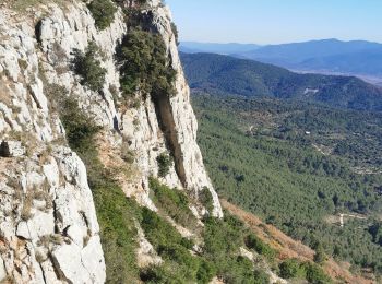 Excursión Senderismo Belgentier - Belgentier vers barres de Cuers - Photo