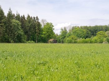 Tocht Te voet Altenbeken - Rundwanderweg A3 [Altenbeken: Durbeke] - Photo