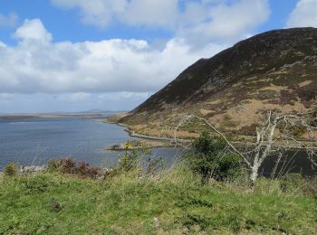 Tour Zu Fuß Westport-Belmullet Municipal District - Causeway Loop Walk - Photo