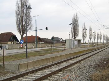 Tour Zu Fuß Gemeinde Haslau - Maria Ellend - Maria Ellend - Haslau - Photo