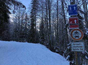 Tour Zu Fuß Reit im Winkl - Wanderweg 14 - Reit im Winkl - Photo