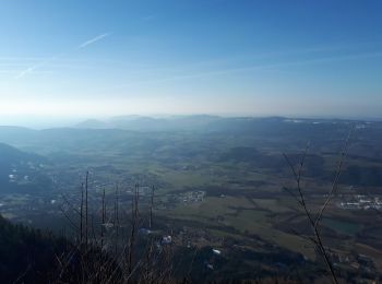 Percorso Marcia Saint-Christophe-sur-Guiers - La Ruchere - Col de l'Allienard - Photo