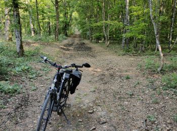 Randonnée Vélo de route Saulny - saulny - Photo