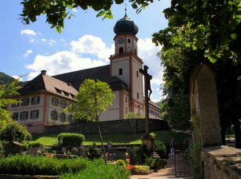 Tocht Te voet Münstertal/Schwarzwald - Breitackerpfad - Photo