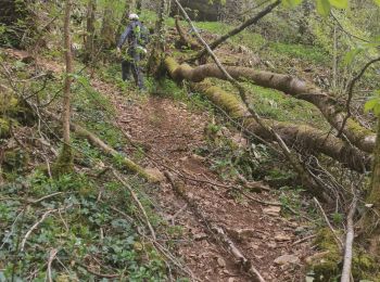 Tocht Stappen Torcieu - Dornan et ses grottes - Photo